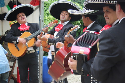 Mariachi instruments