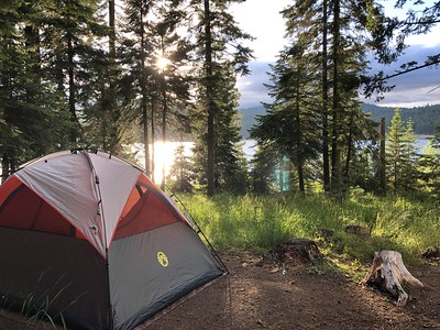 Tent in the forest