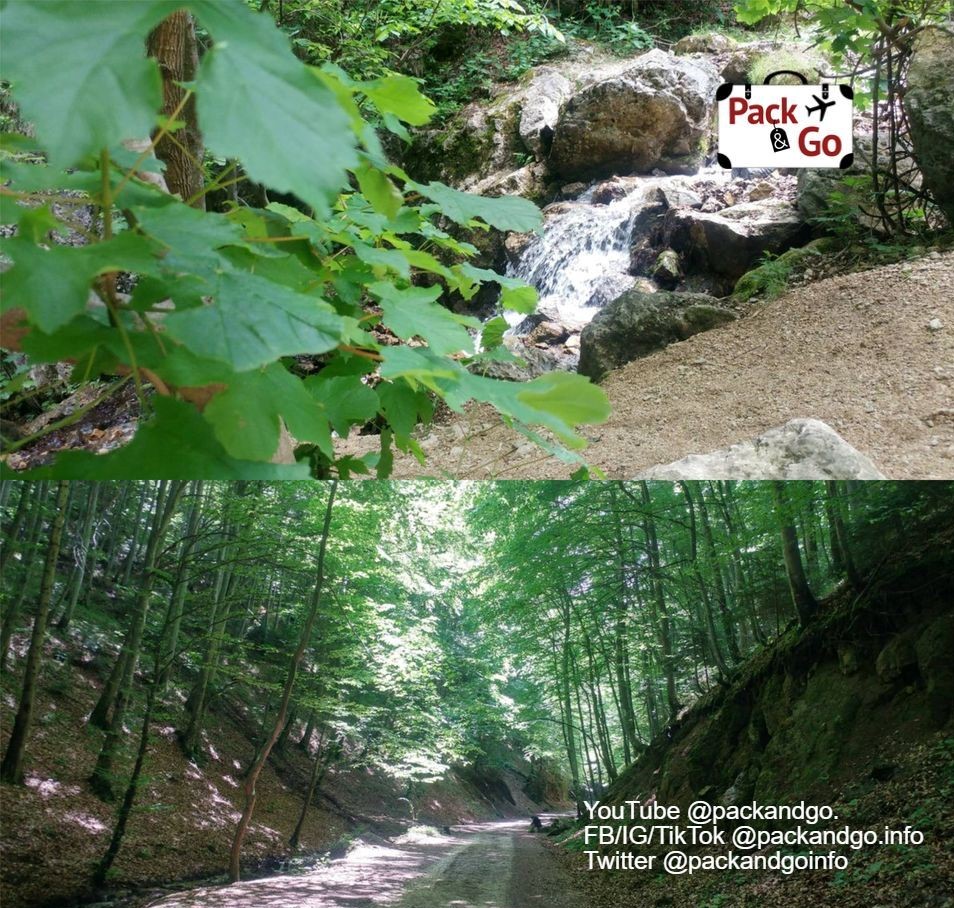 Collage Spring and walking path in Poiana, Brasov, Romania.
